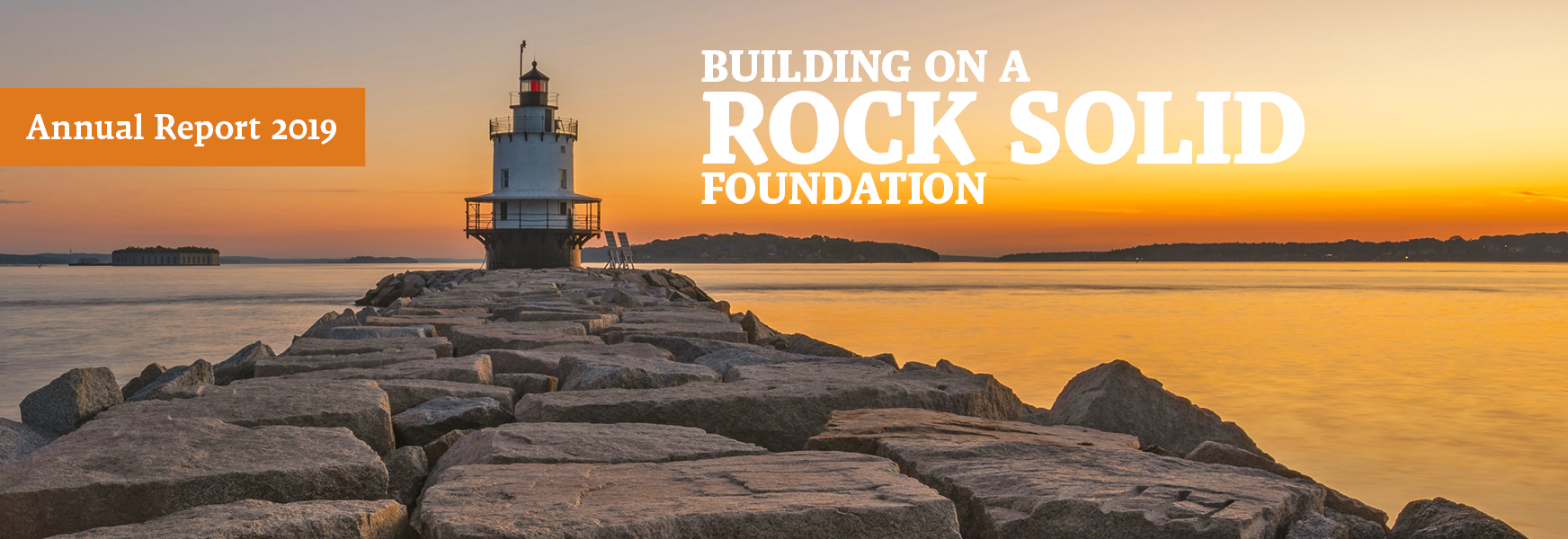 Annual Report 2019 Web Header