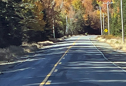 Open roads in rural New England