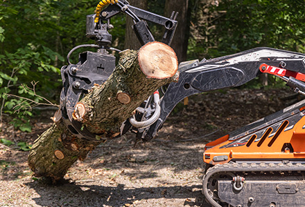 Moving heavy tree section with mini skid steer loader