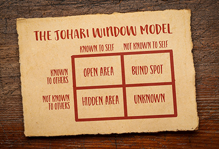 Leading Workplace Safety: the Johari Window and the Dunning-Kruger Effect