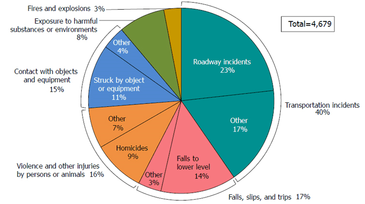 Fall Protection And Prevention; What You Need To Know